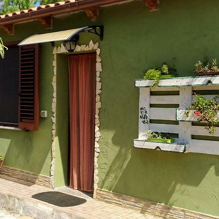 Appartamento Il Salice Casa Minnina Bagian luar foto