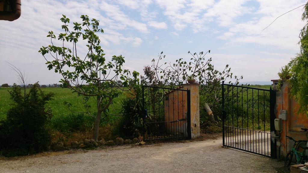 Appartamento Il Salice Casa Minnina Bagian luar foto