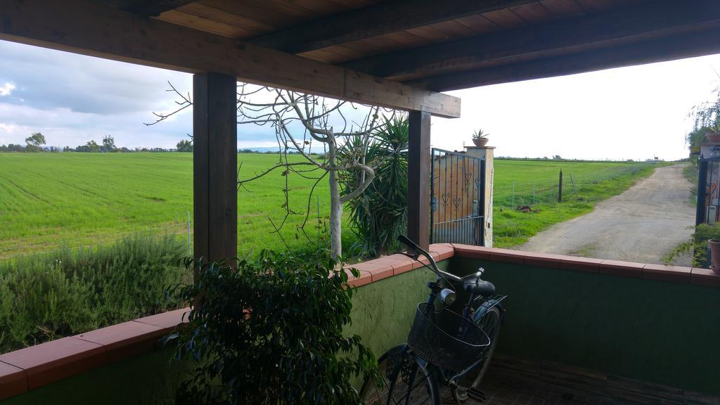 Appartamento Il Salice Casa Minnina Bagian luar foto